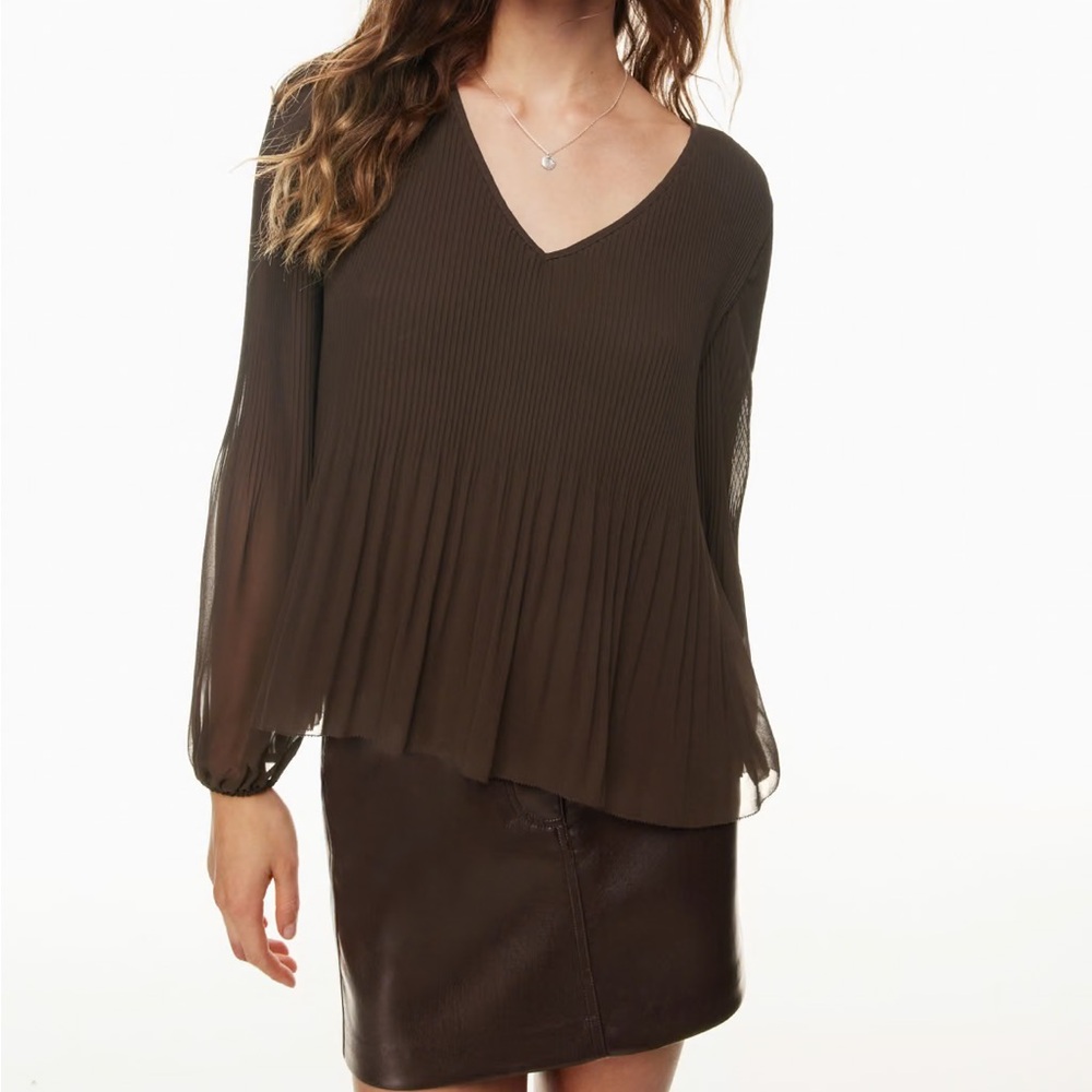 Aritzia Daydreamer V-Neck Blouse